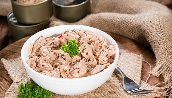 살코기 참치 vs 마일드 참치, 차이점이 뭐야?