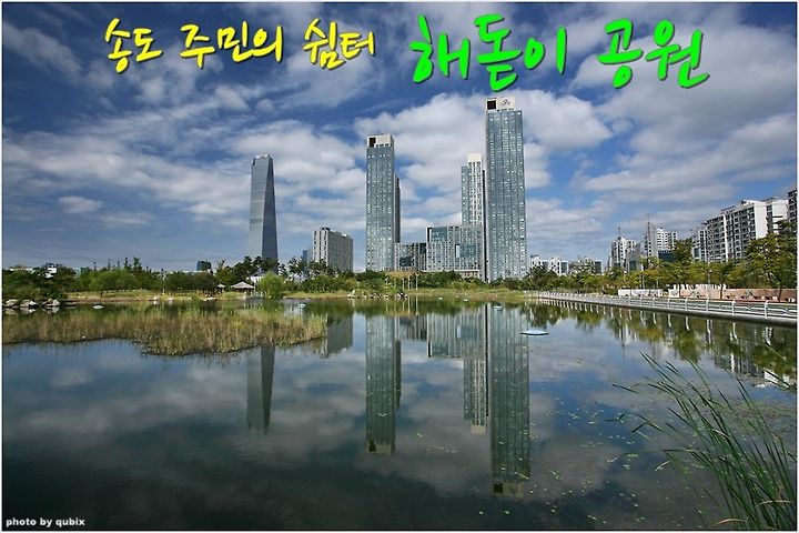 송도 신도시 공유 자전거