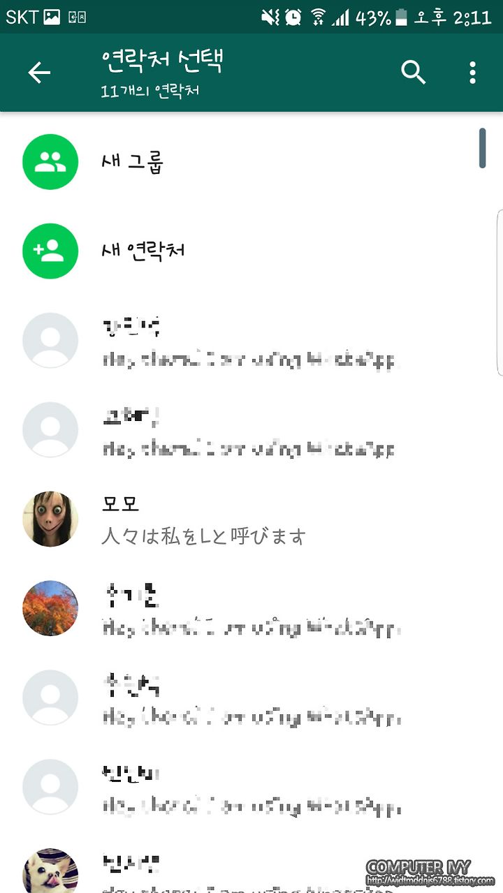 모모 귀신 전화번호 (혐오 사진 주위 / 모모 목소리)