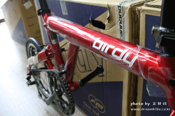 일산 공유 자전거