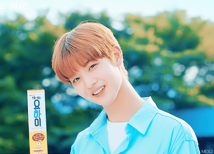 요하이x워너원 배진영 움짤