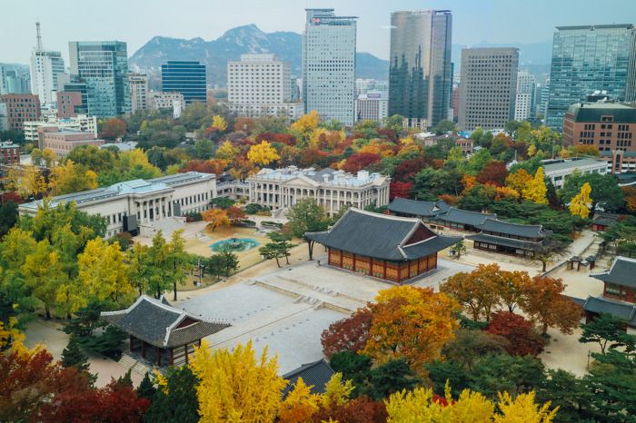 덕수궁 단풍 절경을 볼 수 있는 서울 시청 서소문청사 13층 전망대