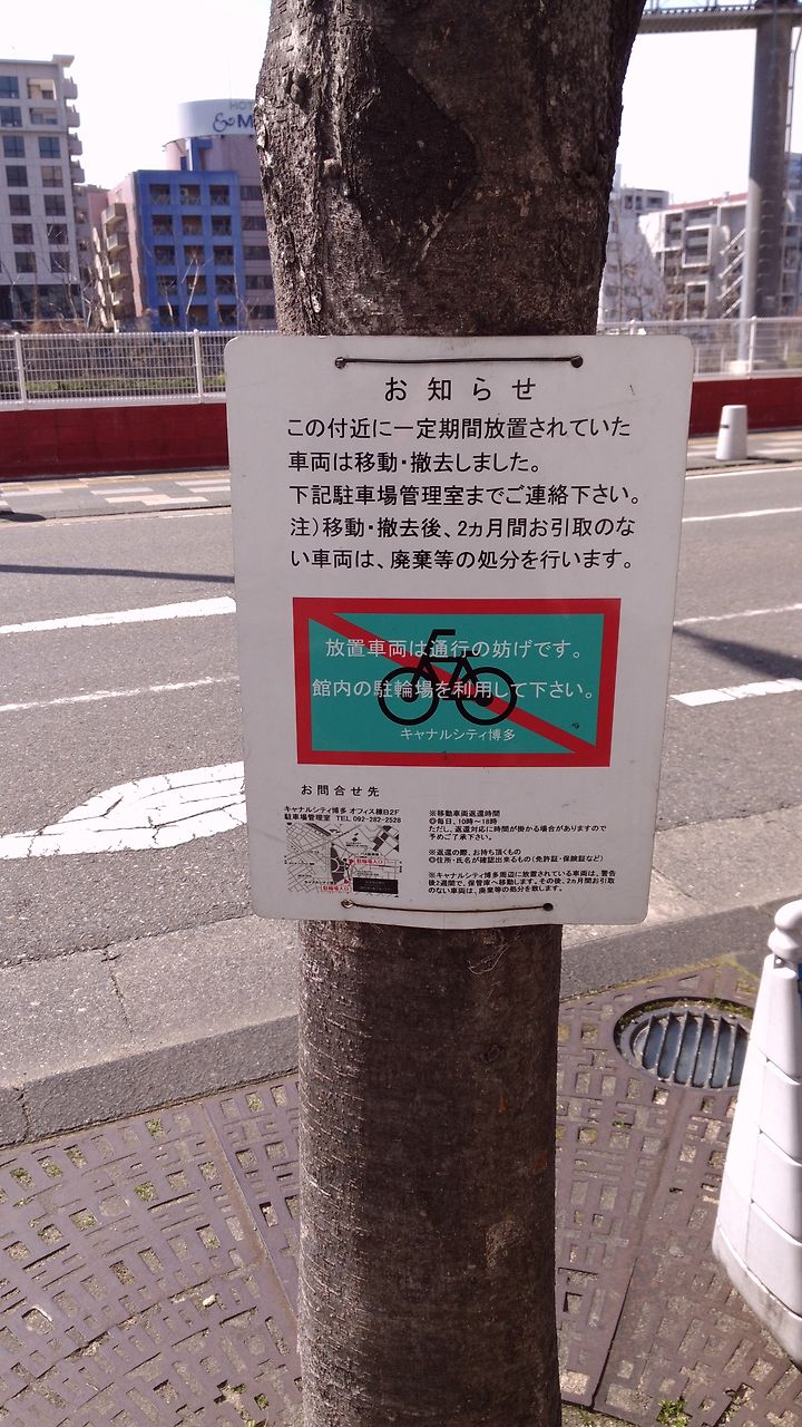 자전거 주차 금지