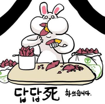 풀덤 이미지