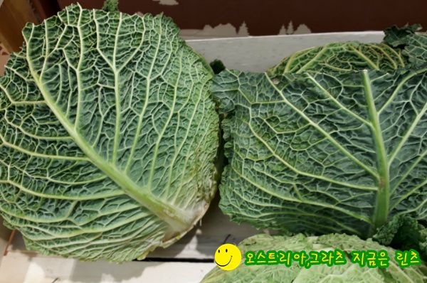 이해가 안 되는 시어머니의 행동