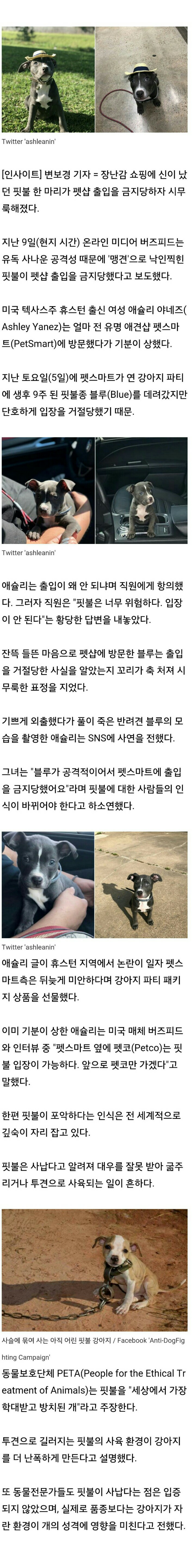 입장 금지당한 강아지