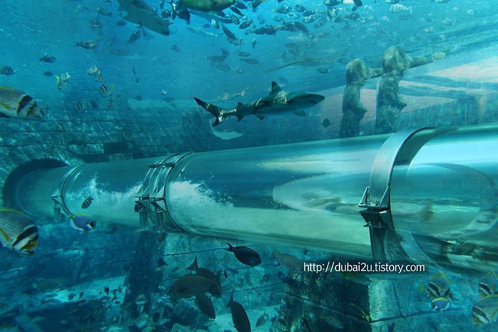 Underwater Suites Neptune And Poseidon Dubai Atlantis Resort