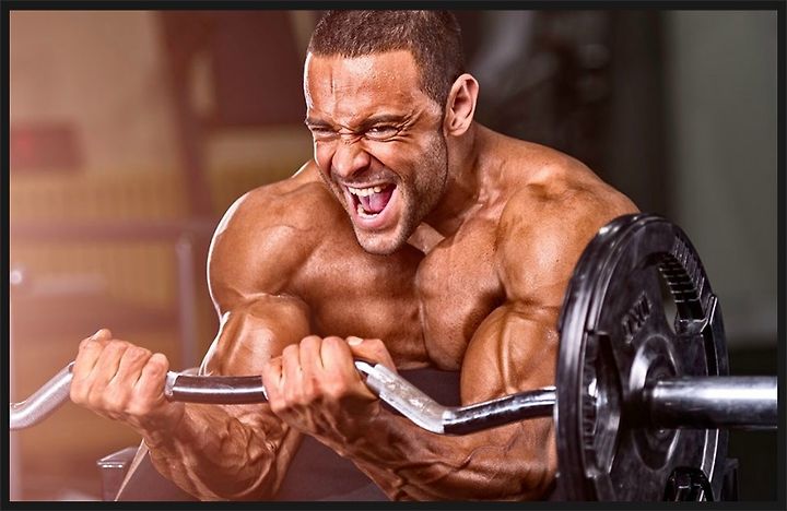 이지바에 대한 이미지 검색결과