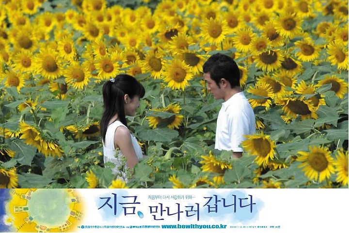 오렌지렌지 하나 Orange Range 花 지금 만나러 갑니다 Ost