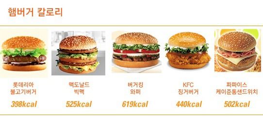 맥도날드 버거킹 롯데리아 KFC 햄버거 칼로리표 총정리