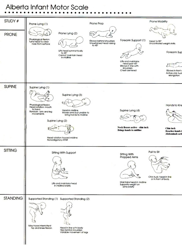 Alberta Infant Motor Scale Printable - Printable Word Searches