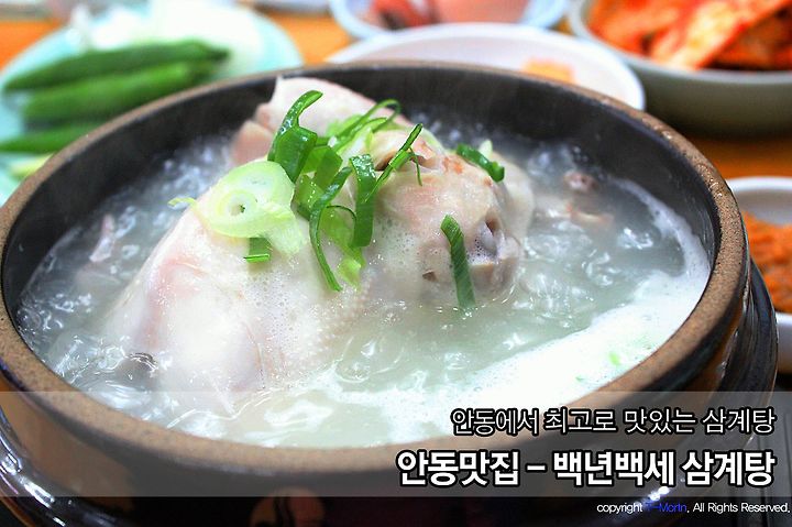 [안동맛집 추천] 백년백세 삼계탕 - 안동에서 가장 맛있는 인삼주 삼계탕!