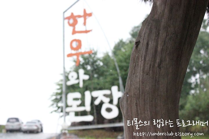 [안동맛집 추천] 하회마을 한우와 된장 - 한우와 된장전골과 안동 간고등어의 궁합은?