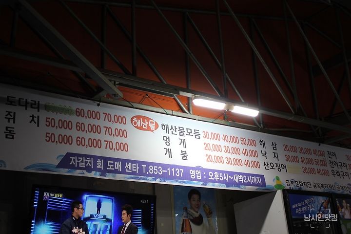 안동맛집 술집 옥동 자갈치회도매센타