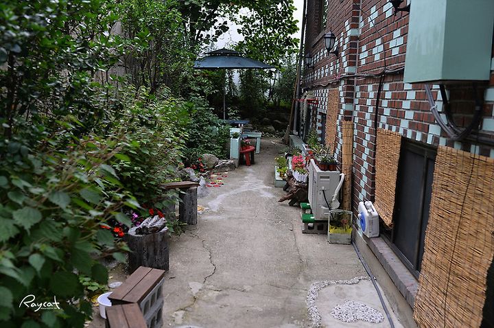 걸죽한 국물에 쫄깃한 닭백숙이 좋은 청계냇가집