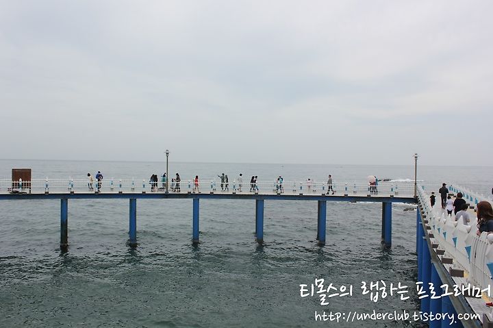 [영덕 여행]영덕 여행지 코스 추천, 영덕 해상산책로