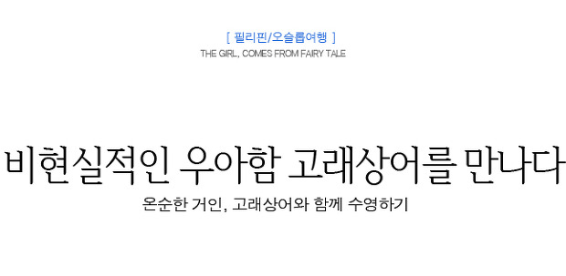 고래상어와 행운의 남자