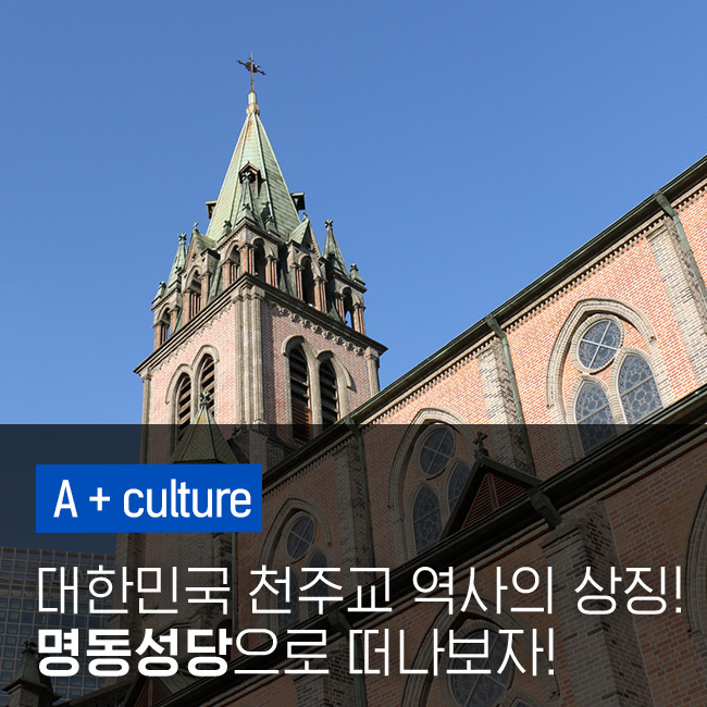 학습의 대성당