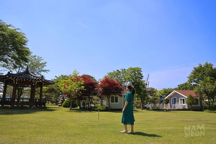 안동 카페 스냅 사진 촬영 용상 모로카페 야외