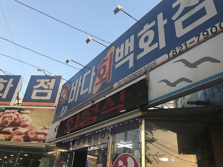 안동 바다회백화점 용상맛집 회덮밥 퀄리티 가성비 굿