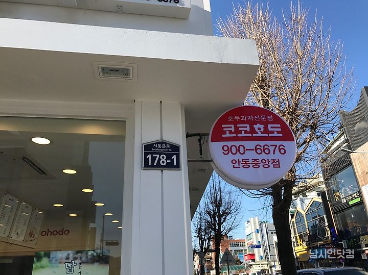 안동 시내 호두과자 코코호도 안동중앙점