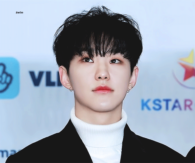 181128 AAA 세븐틴 호시 움짤