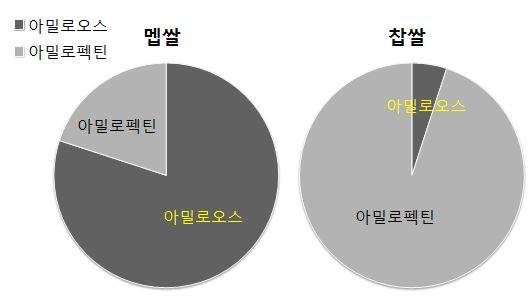 아밀로펙틴 구조