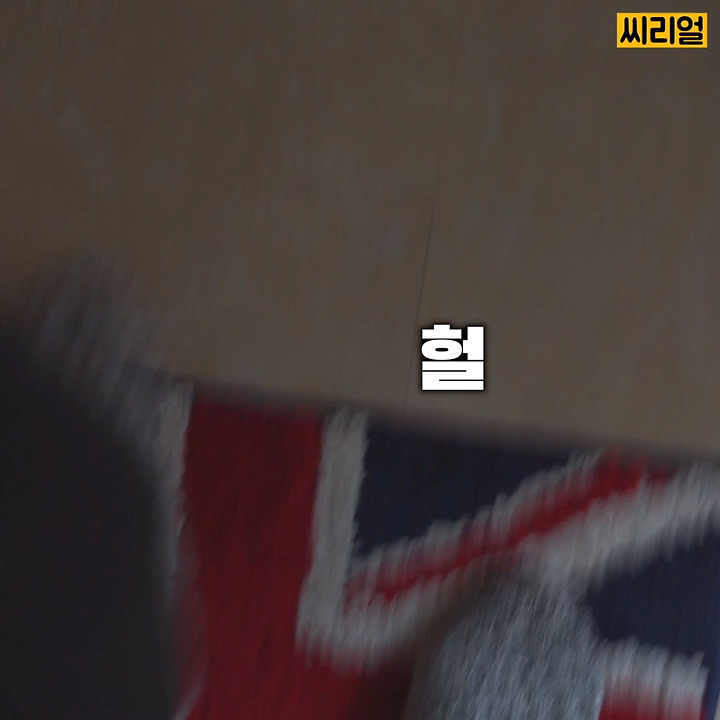 우리 집에 나 말고 다른 사람이 있는 것 같다 | 인스티즈