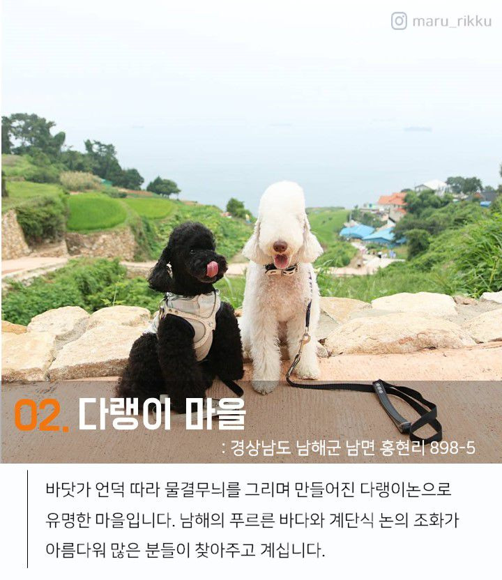 더드림핑 글램핑 7