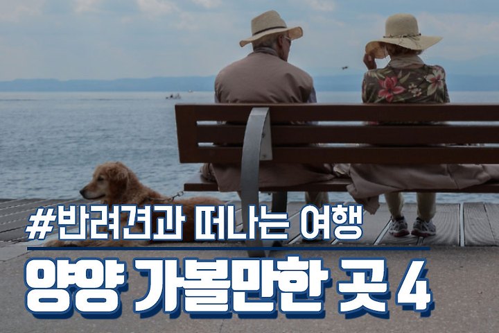 강씨네농장 8