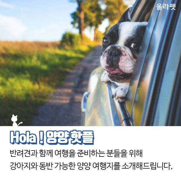 강씨네농장 9