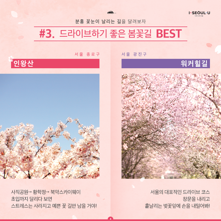 꽃길 이미지