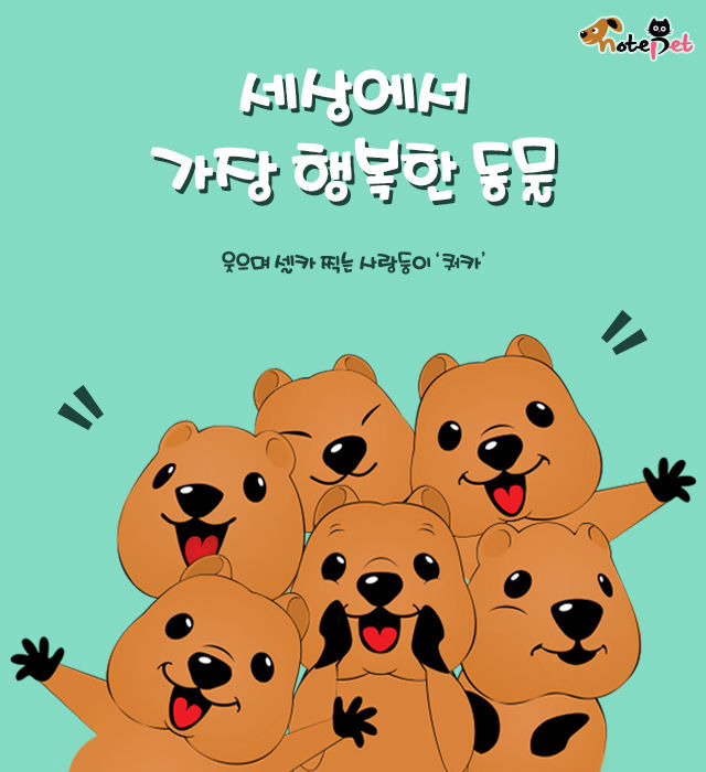 세상에서 가장 행복한 동물 | 1boon 세상에서 가장 행복한 동물
