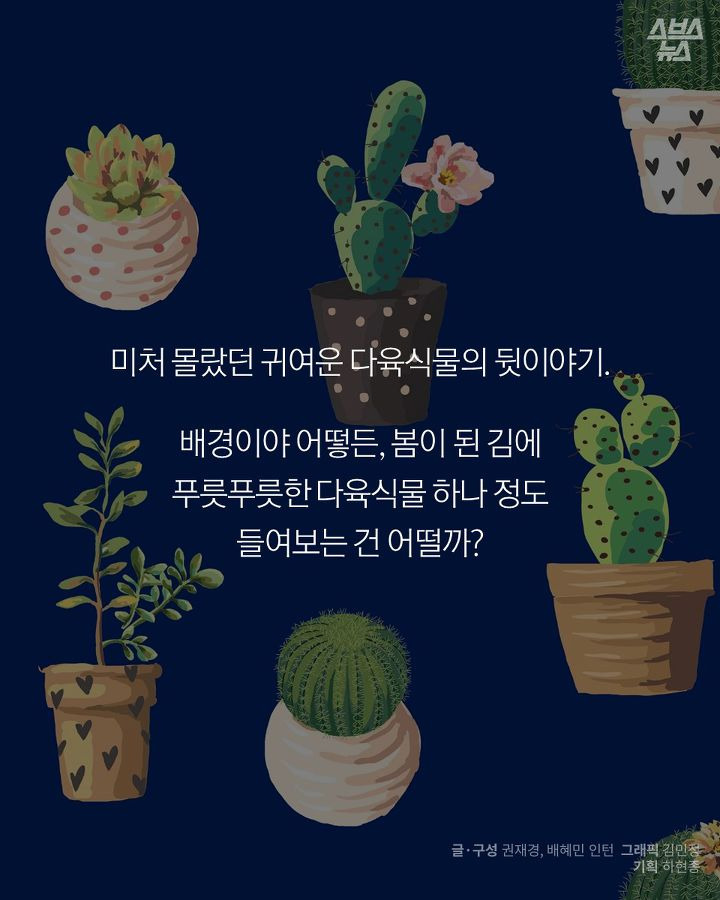 화분에서 돌고래 키우는 방법 | 1boon 화분에서 돌고래 키우는 방법