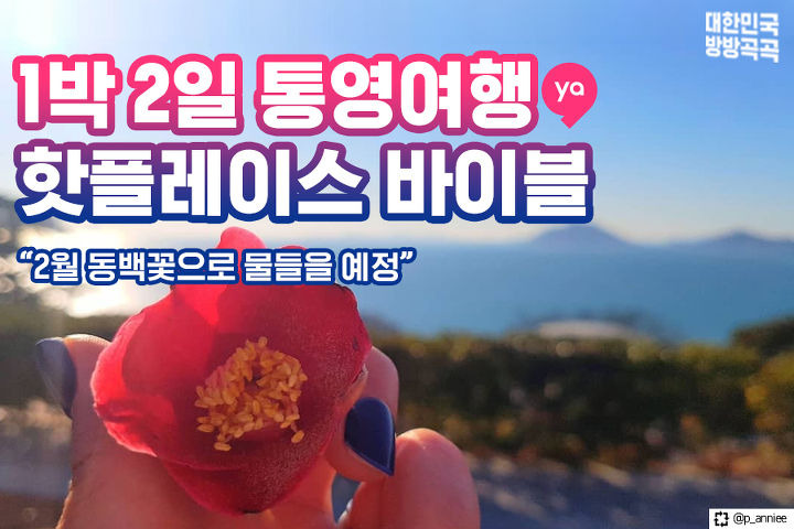 동백꽃이 활짝! 1박 2일 통영여행 핫플레이스 바이블 | 1boon 동백꽃이 활짝! 1박 2일 통영여행 핫플레이스 바이블