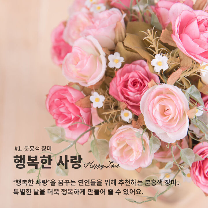 화이트데이 선물로 추천! 아름다운 의미의 꽃말을 가진 꽃 Best6 | 1boon 화이트데이 선물로 추천! 아름다운 의미의 꽃말을 가진 꽃 Best6