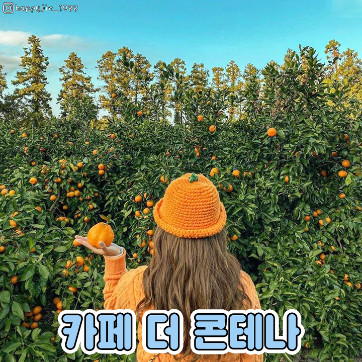 겨울에 가면 더 예쁜 제주 명소들 ☃ 코로나 끝나면 가자! | 1boon 겨울에 가면 더 예쁜 제주 명소들 ☃ 코로나 끝나면 가자!