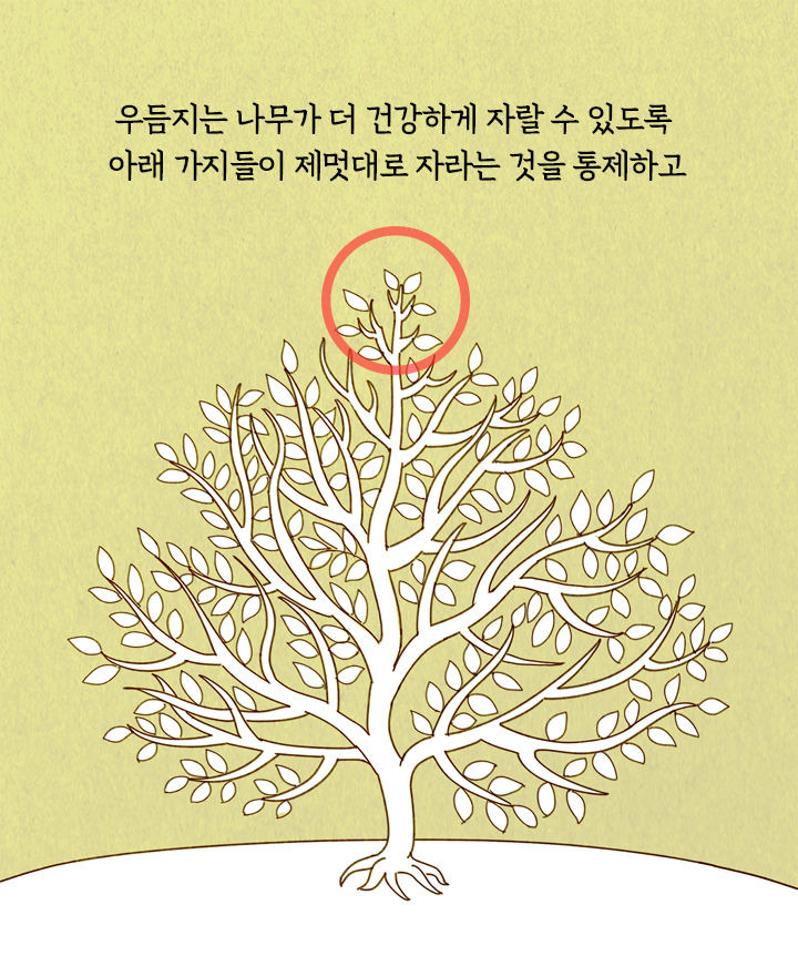 말기암 선고받은 할아버지가 마지막으로 시작한 일 | 1boon 말기암 선고받은 할아버지가 마지막으로 시작한 일