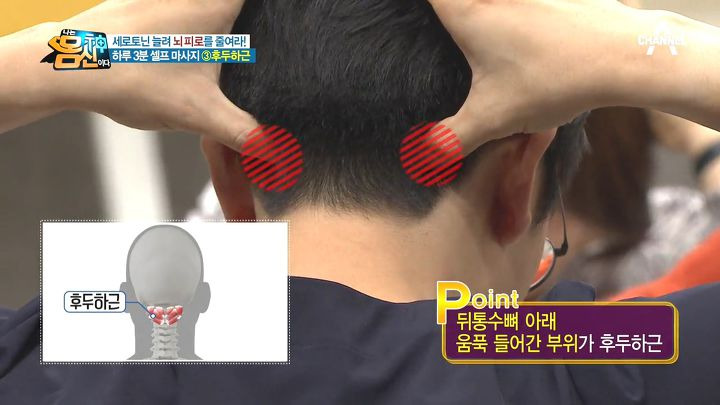 엠피트니스 이미지