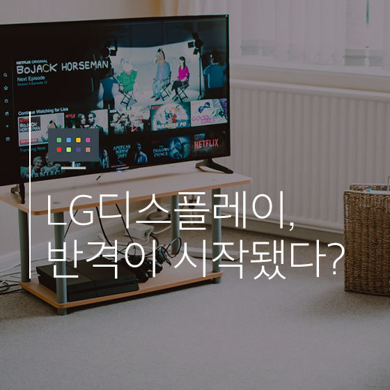 LG디스플레이 ADR(LPL) 관련 이미지 4