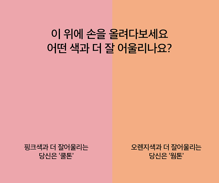 ì¿¨í†¤ì´ ì›œí†¤ë³´ë‹¤ ì‚¬ì‹¤ì€ ë