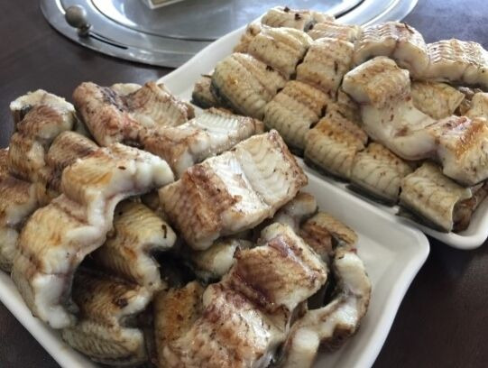 남서울민물장어 이미지