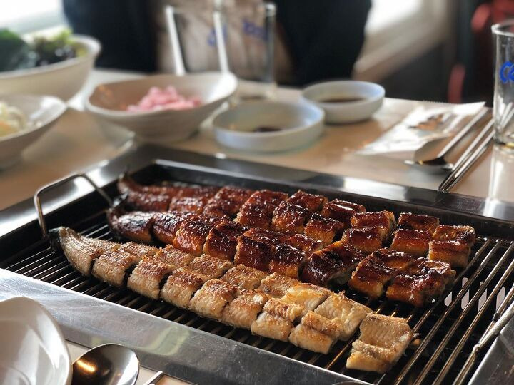데일리장어 이미지