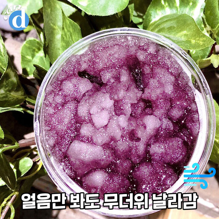 이것 데려오면서 도너츠 기죽이고 있다는 던킨 근황 | 디스패치 | 뉴스는 팩트다! 이것 데려오면서 도너츠 기죽이고 있다는 던킨 근황