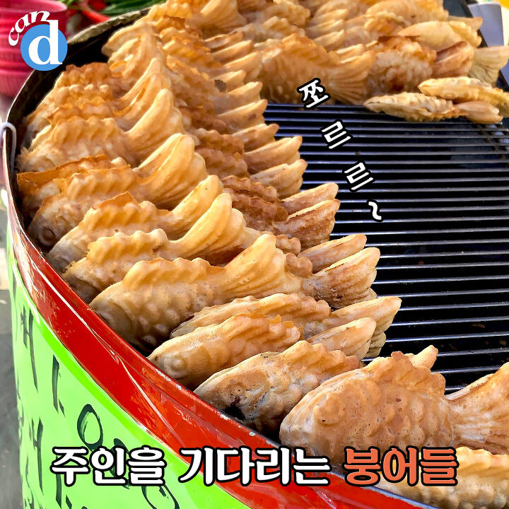7개에 1천원, 혜자 초월했다는 붕어빵집 정체 | 디스패치 | 뉴스는 팩트다! 7개에 1천원, 혜자 초월했다는 붕어빵집 정체