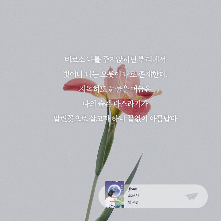 [감성글귀] 오롯이 나로 존재한다. | 1boon [감성글귀] 오롯이 나로 존재한다.