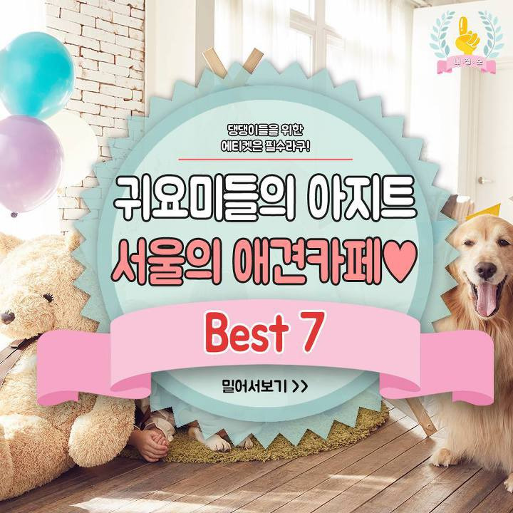 귀요미들의 아지트 서울의 애견카페 | 1boon 귀요미들의 아지트 서울의 애견카페