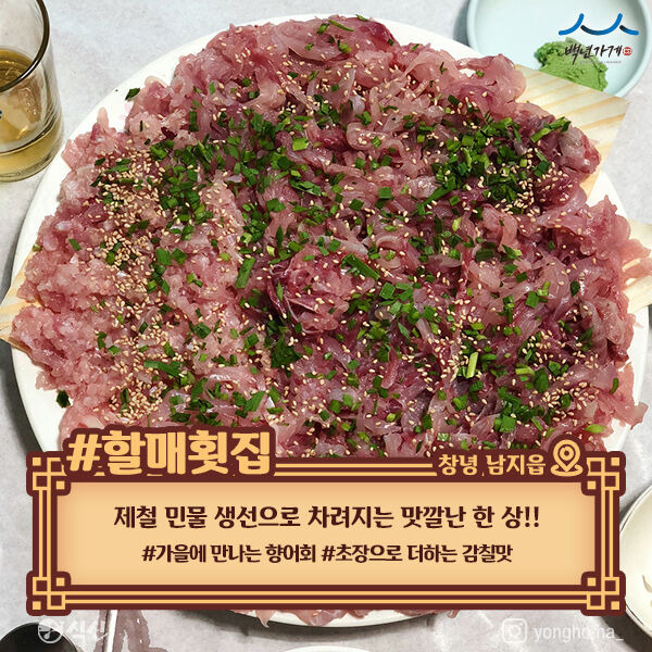 100년을 이어갈 싱싱함, 전국 횟집 BEST 5 | 1boon 100년을 이어갈 싱싱함, 전국 횟집 BEST 5