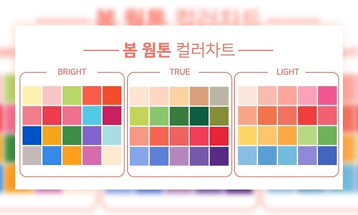 애플민트 10월문화회식/마포구/홍대/퍼스널컬러진단/봄웜톤/가을웜톤/여름쿨톤/겨울쿨톤/솔직후기/마이머니 6