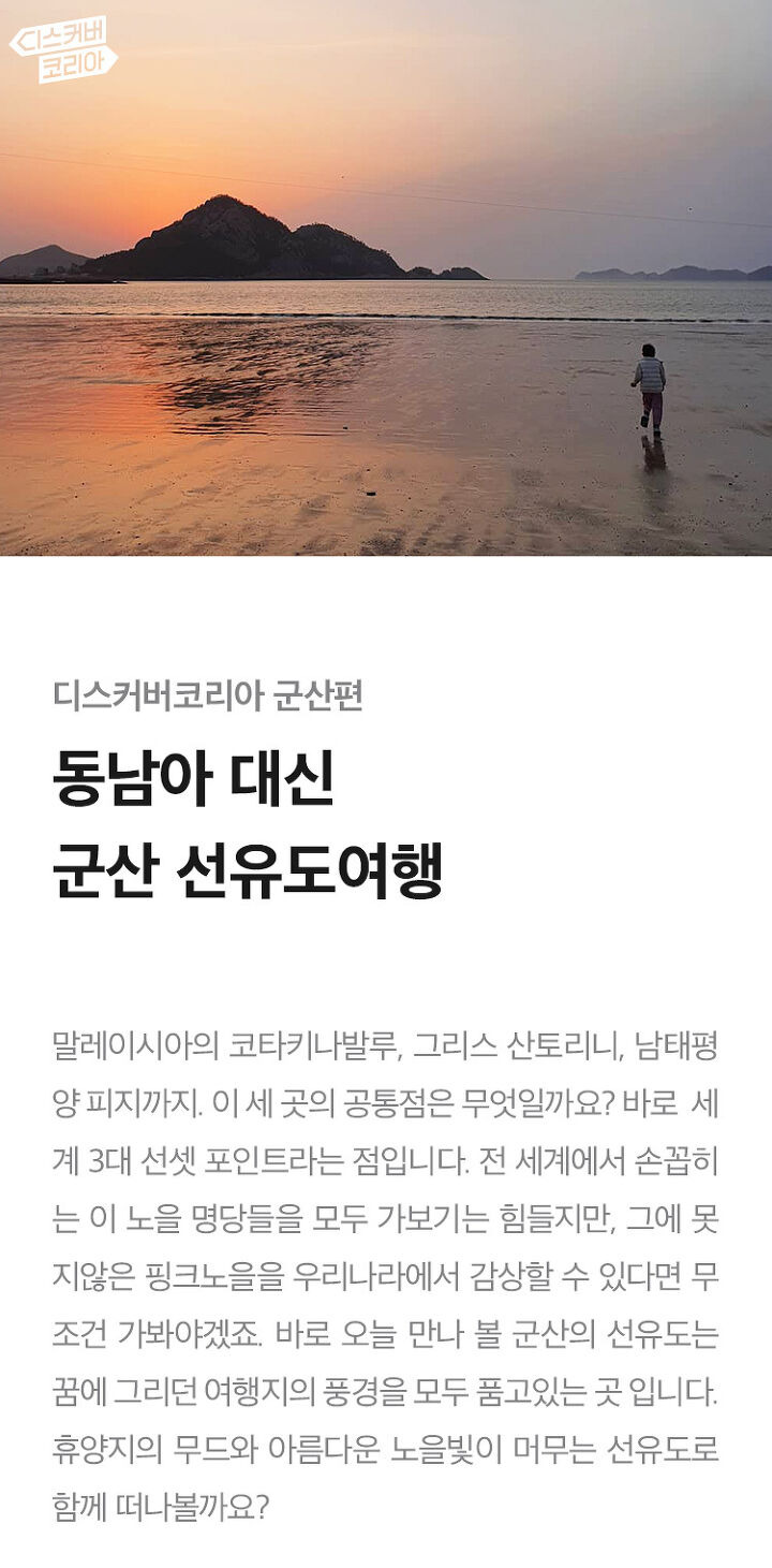 동남아 대신 뜨는
